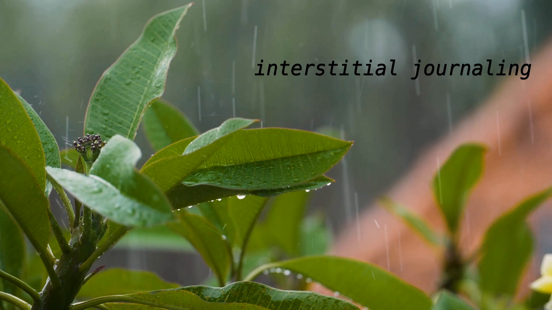 rain falling on unknown plants with the words interstitial journaling on the right upper corner